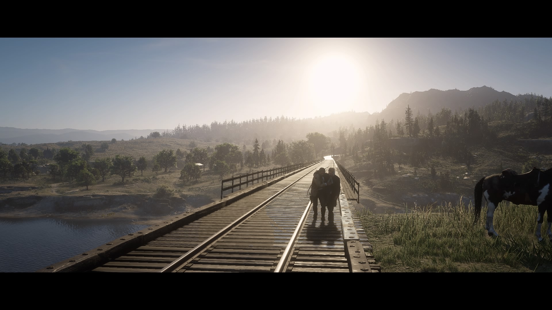 Red Dead Redemption 2_20181111211725
