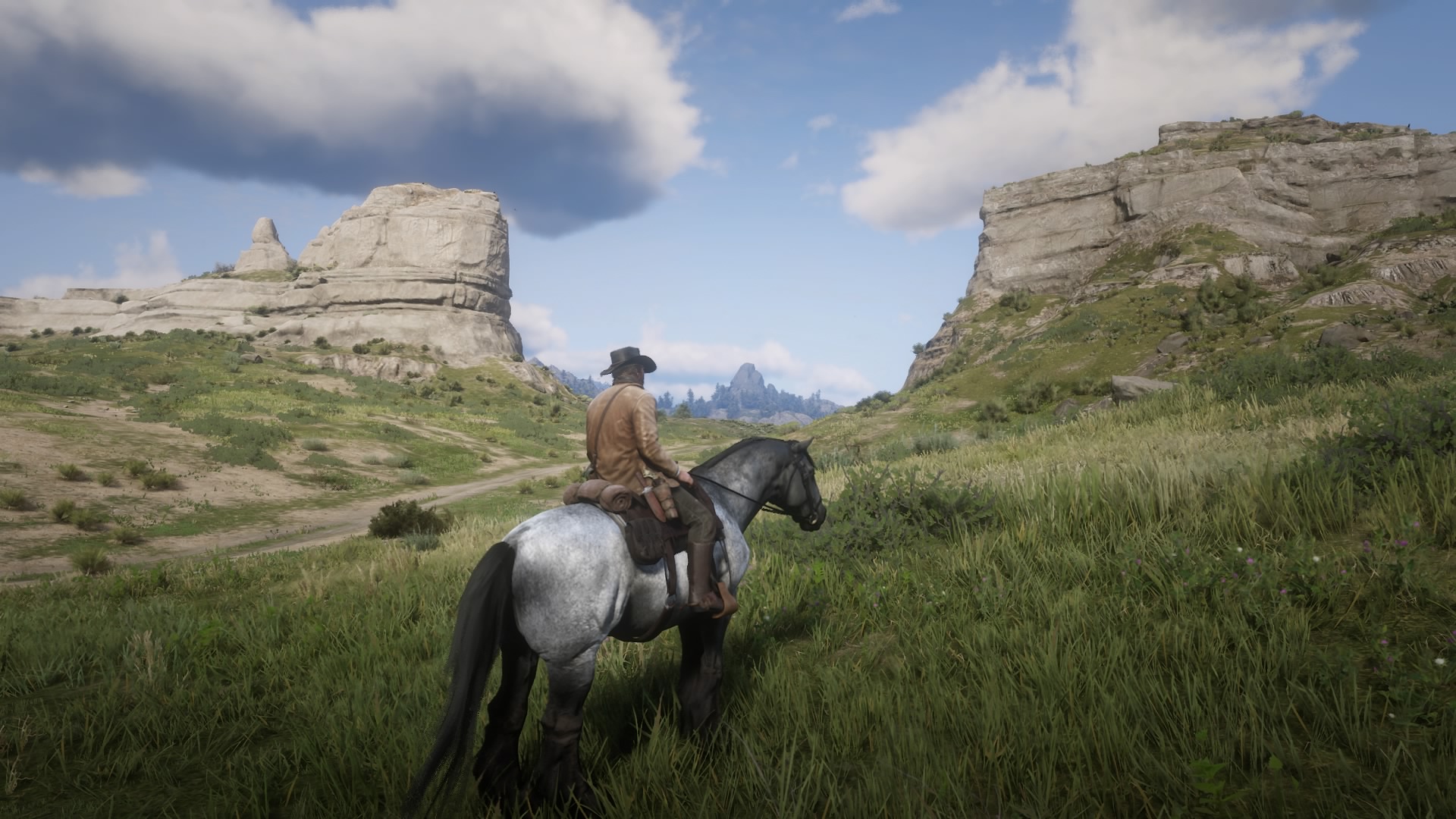 Red Dead Redemption 2_20181112195704