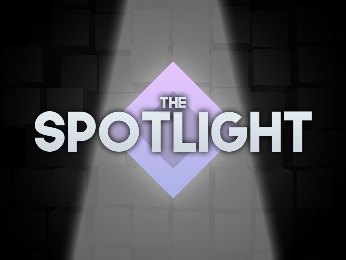 The Spotlight –&nbsp;14